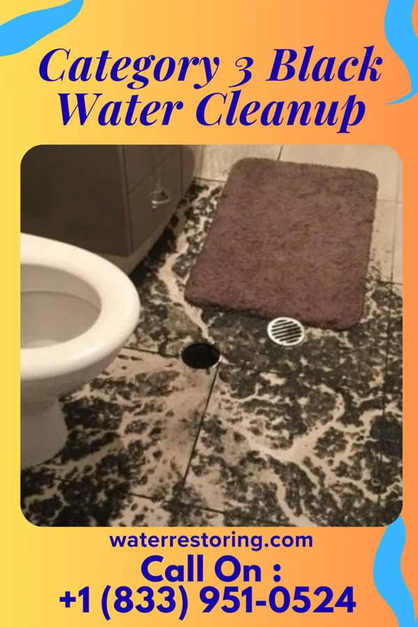 Category 3 Black Water Cleanup in Center, MO
