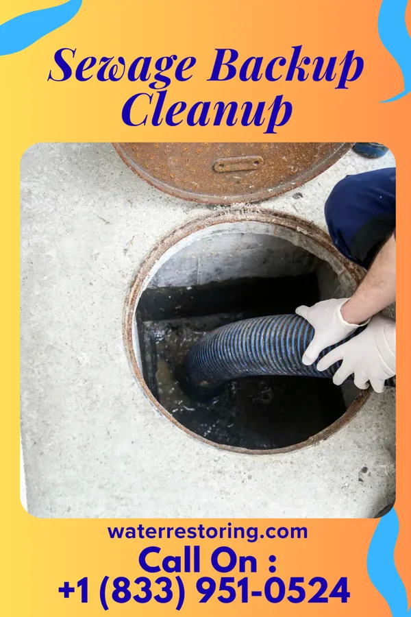 Sewage Backup Cleanup in Center, MO