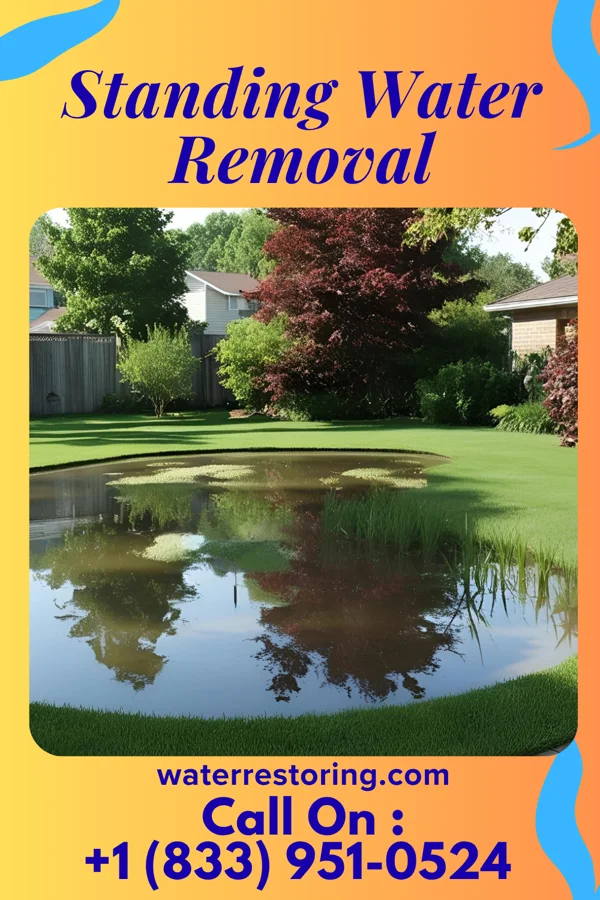 Standing Water Removal in Center, MO